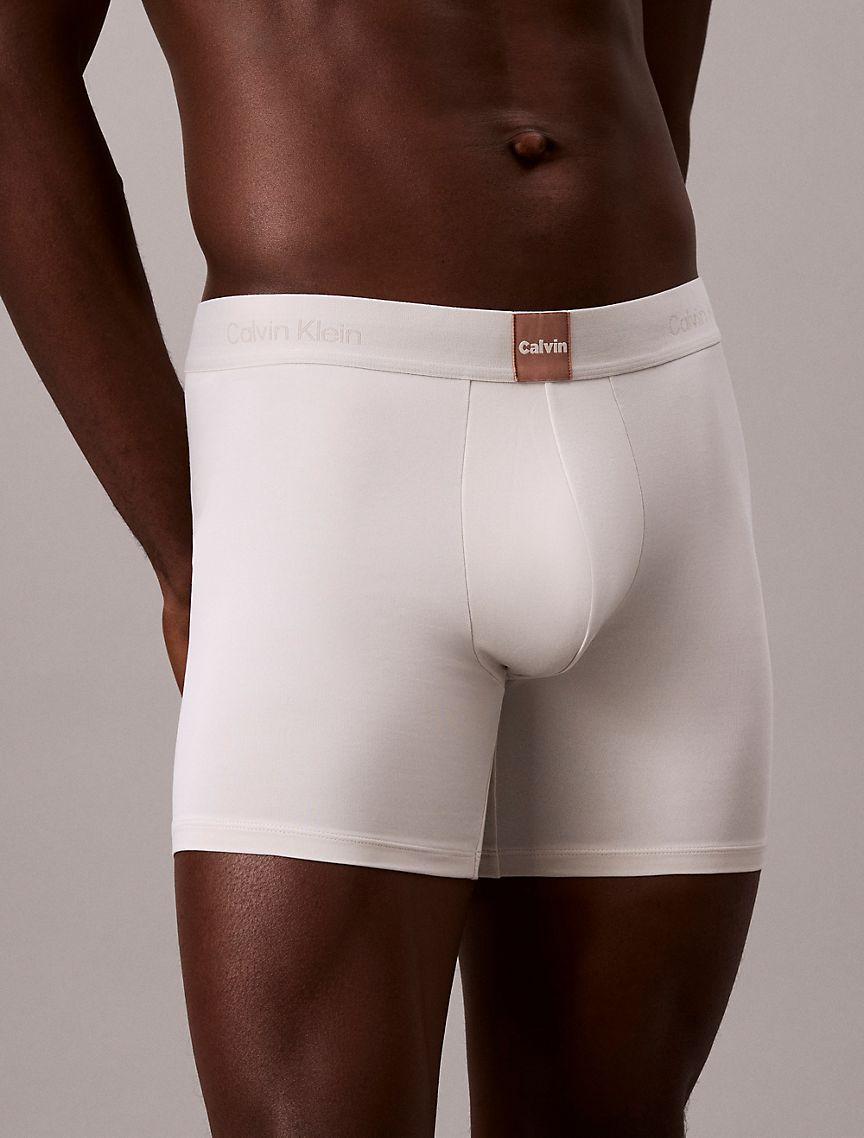 Icon Logo Graphic Boxer Brief Product Image