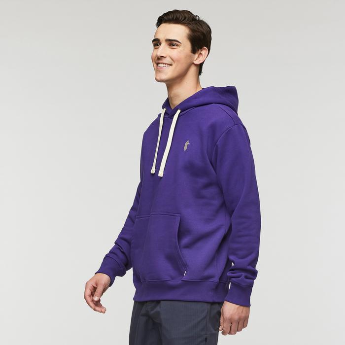 Up and Up Pullover Hoodie - Men's Product Image
