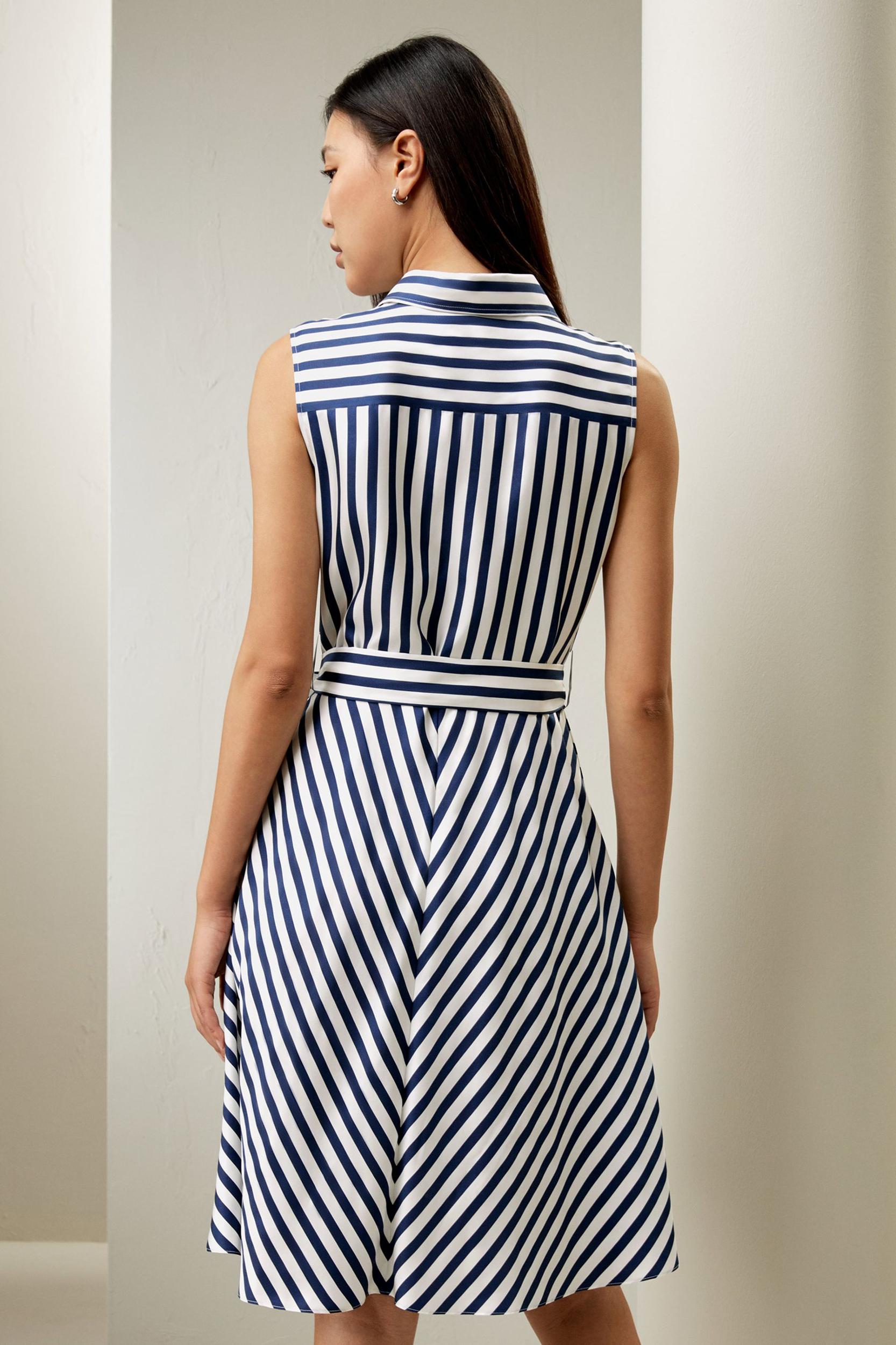 Silk Striped Sleeveless Dress Product Image