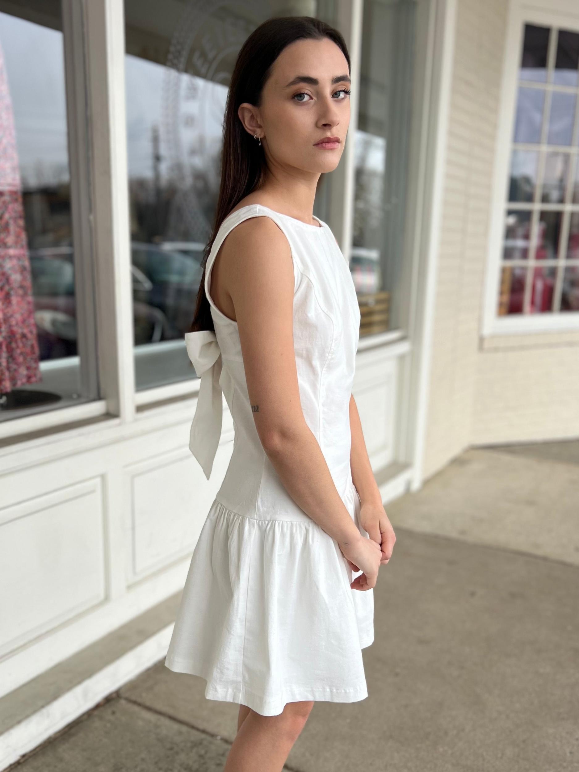 Isabelle Sleeveless Drop Waist Mini Dress Product Image