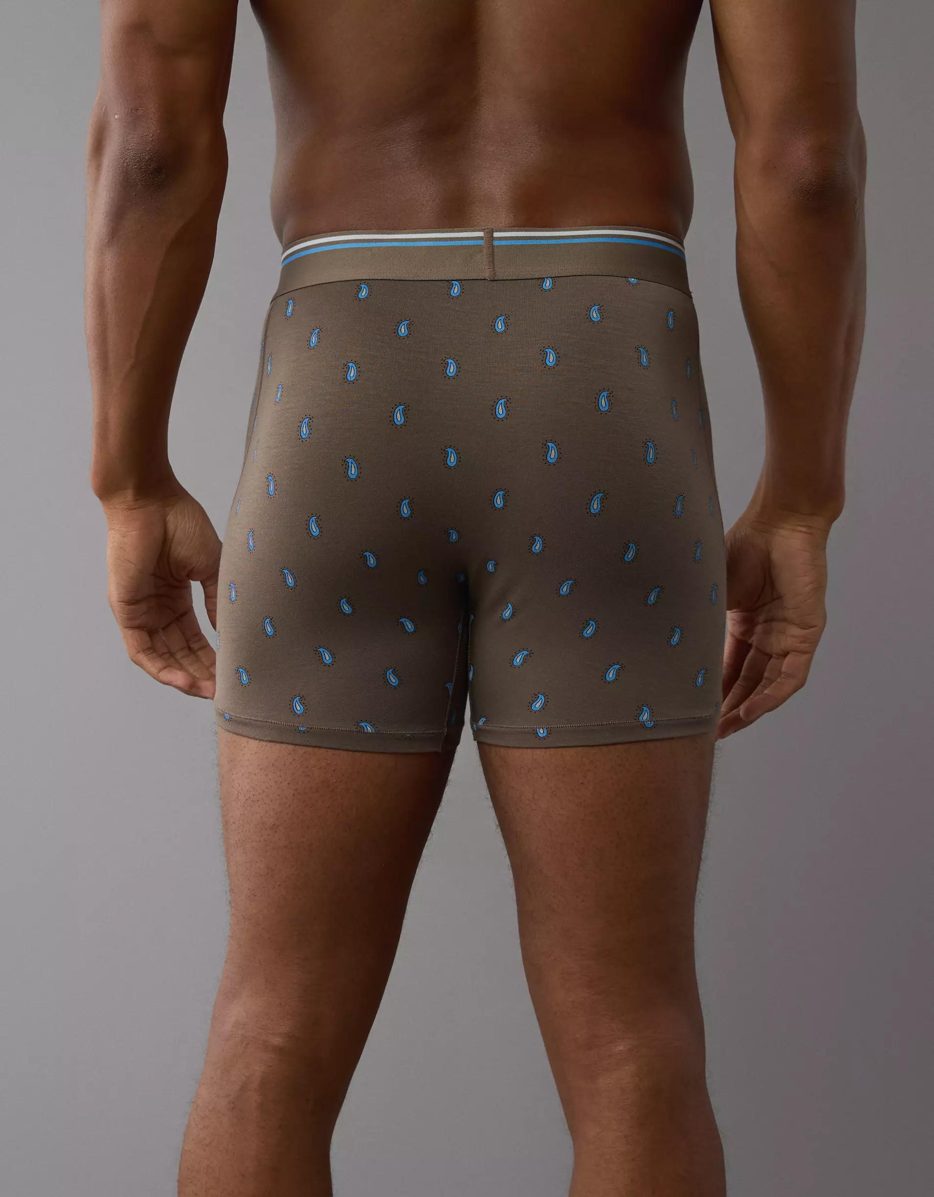AEO Men's Paisley 4.5" Ultra Soft Boxer Brief Product Image