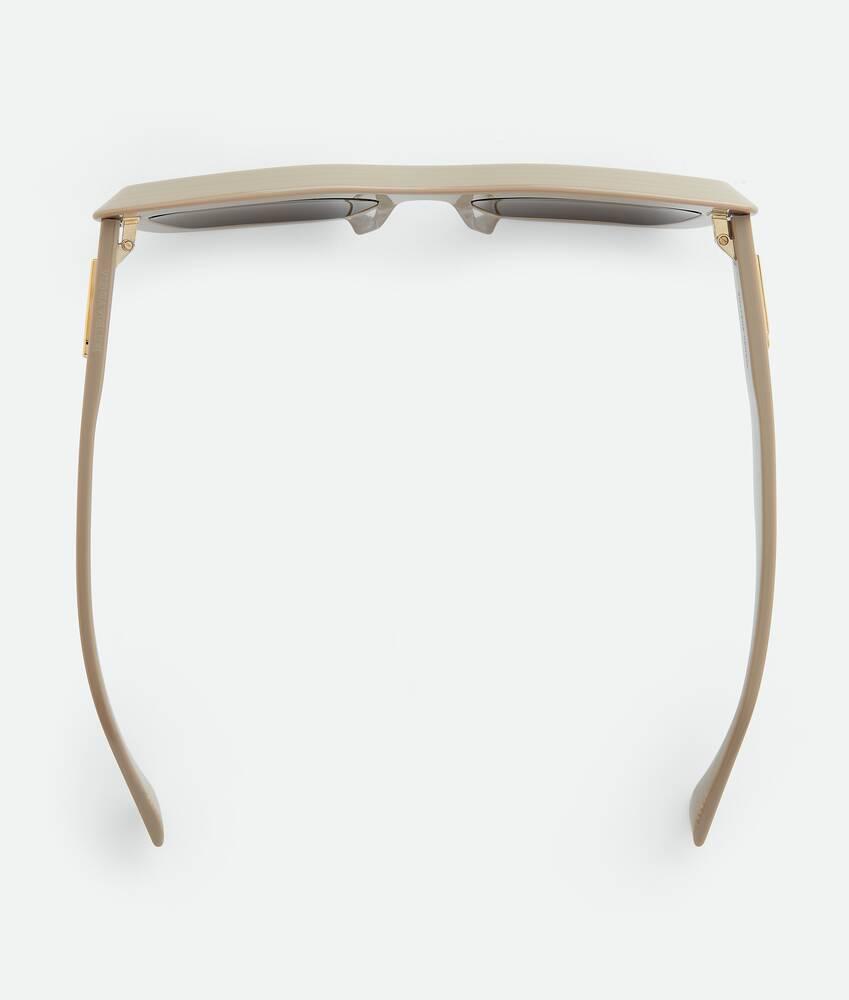 Women's Classic Cat Eye Sunglasses in Brown/brown Product Image