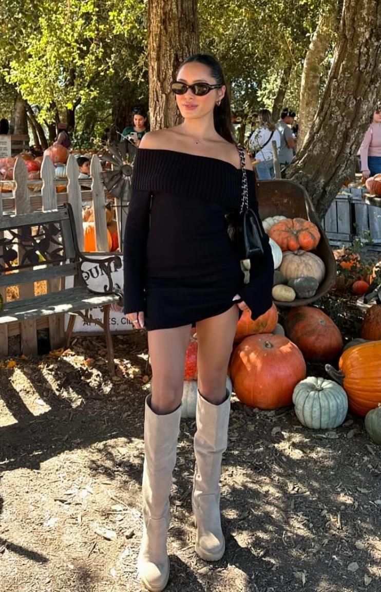 Halia Black Long Sleeve Mini Dress Product Image