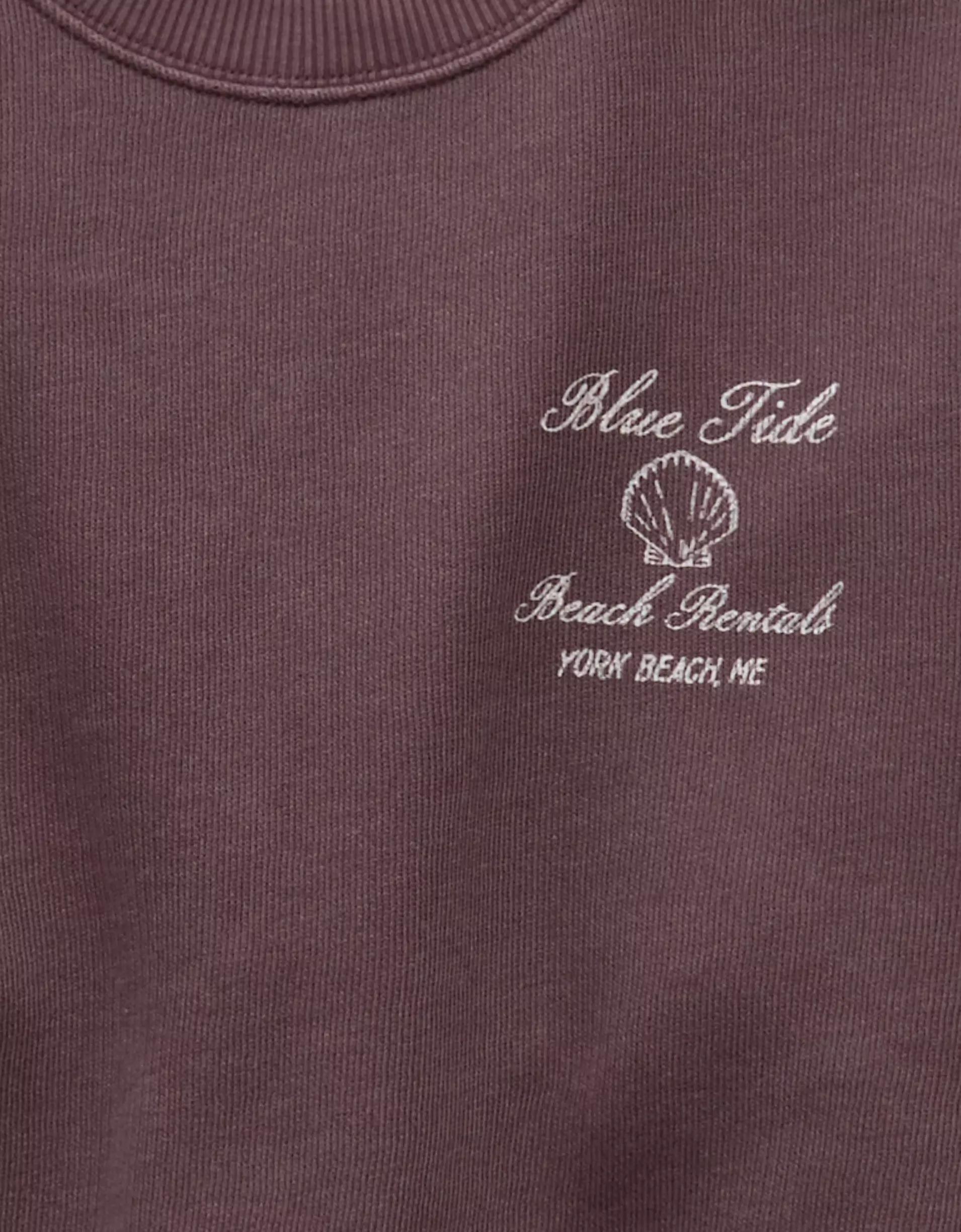 AE Relaxed Fit Destination Graphic Sweatshirt Product Image