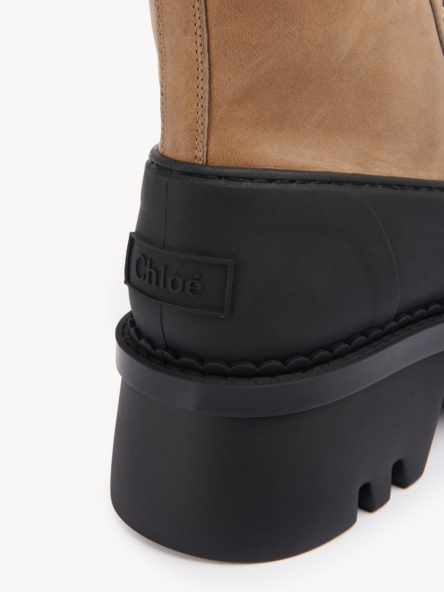 Phoenix ankle boot Product Image