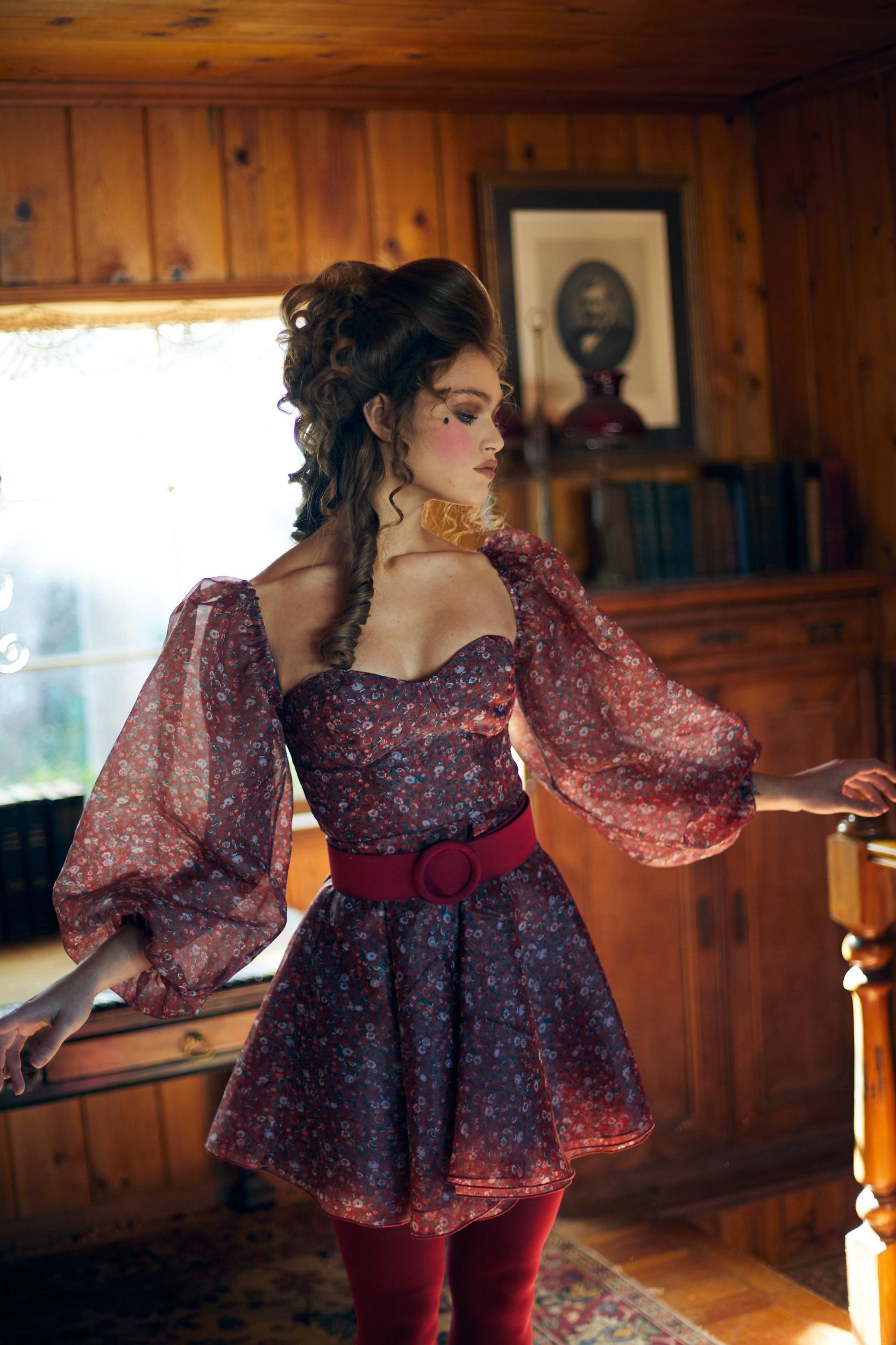 The Crimson Princess Dress Product Image