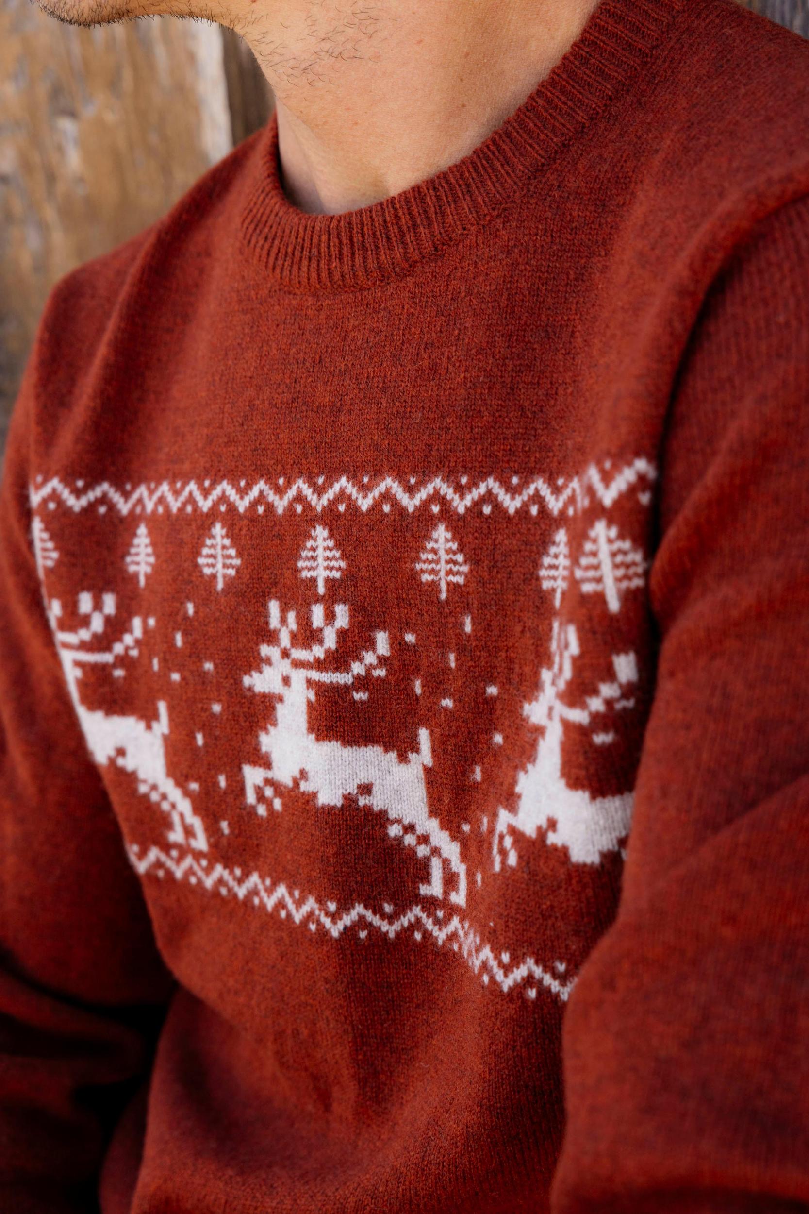 Reindeer Lambswool Sweater Crew - Holiday Red Product Image