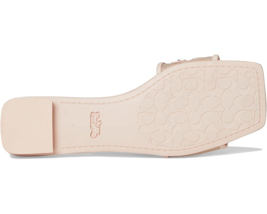 Sculpted C Metallic Leather Flat Sandals Product Image