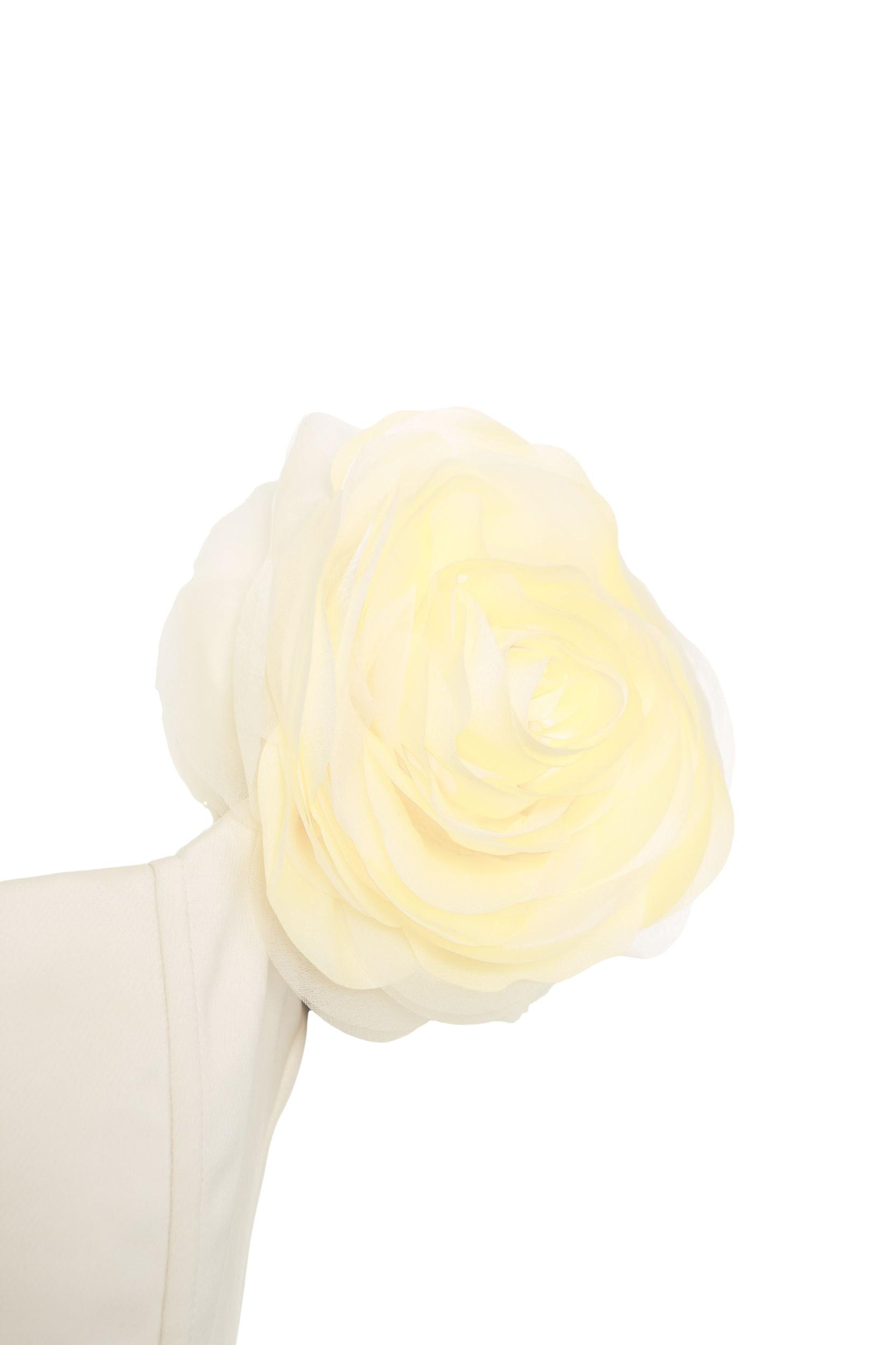 Duchesse mini dress Product Image