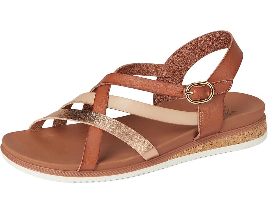 Summer Cove - Beach Bloom Product Image