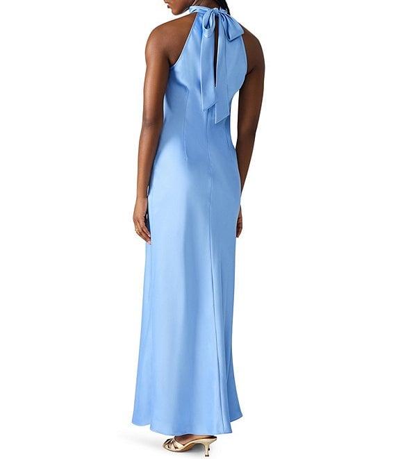 Steve Madden Lara High Neck Sleeveless Maxi Dress Product Image