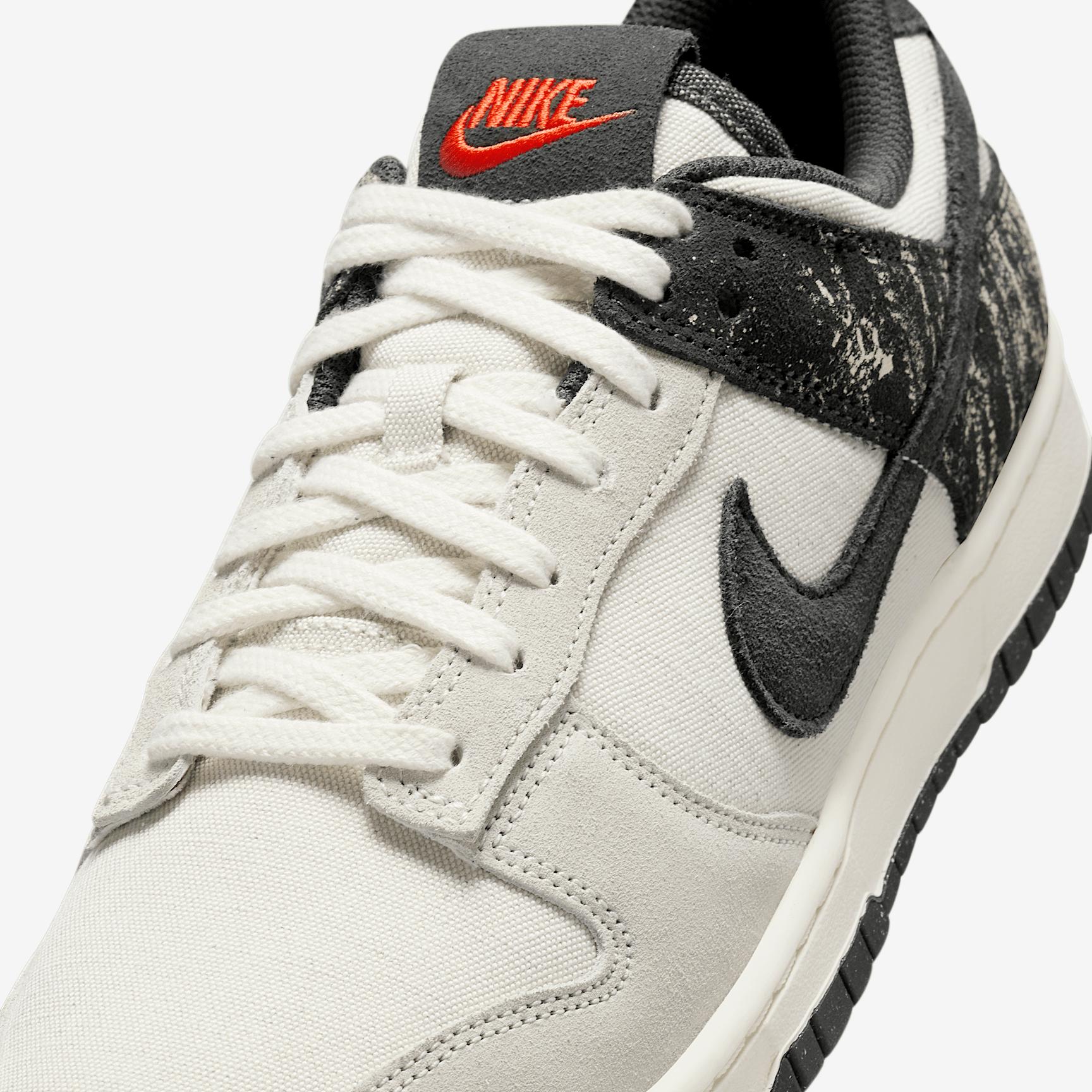 Nike Mens Dunk Low Retro SE Shoes | IB6399-002 Product Image
