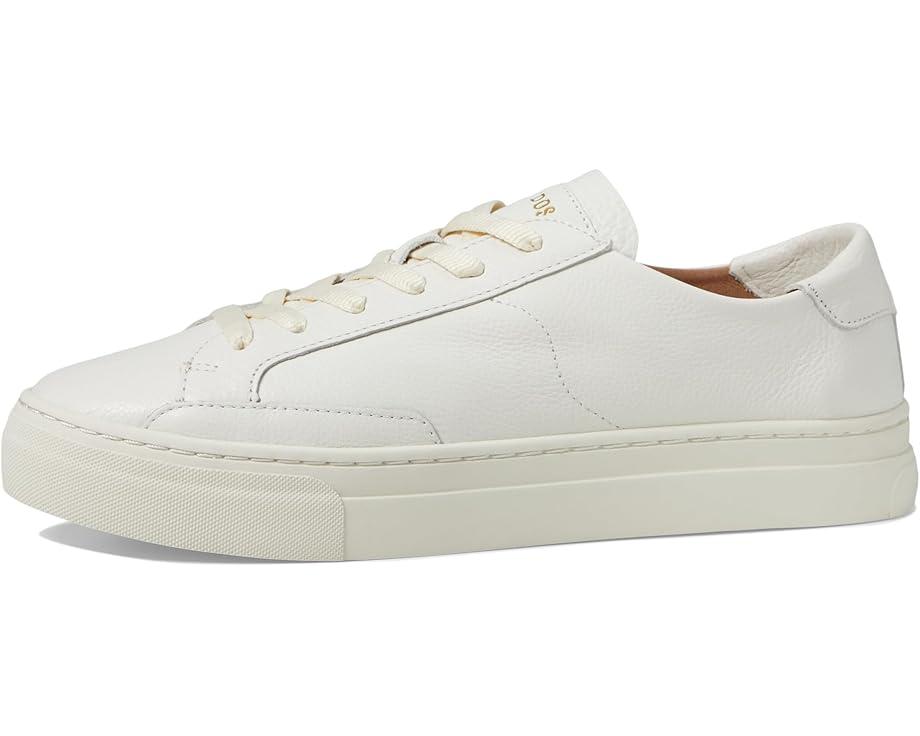 Roma Sneaker Product Image