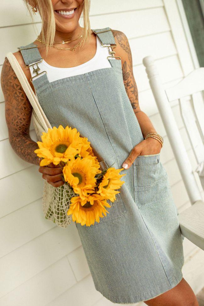 Shelley Striped Overall Dress Product Image