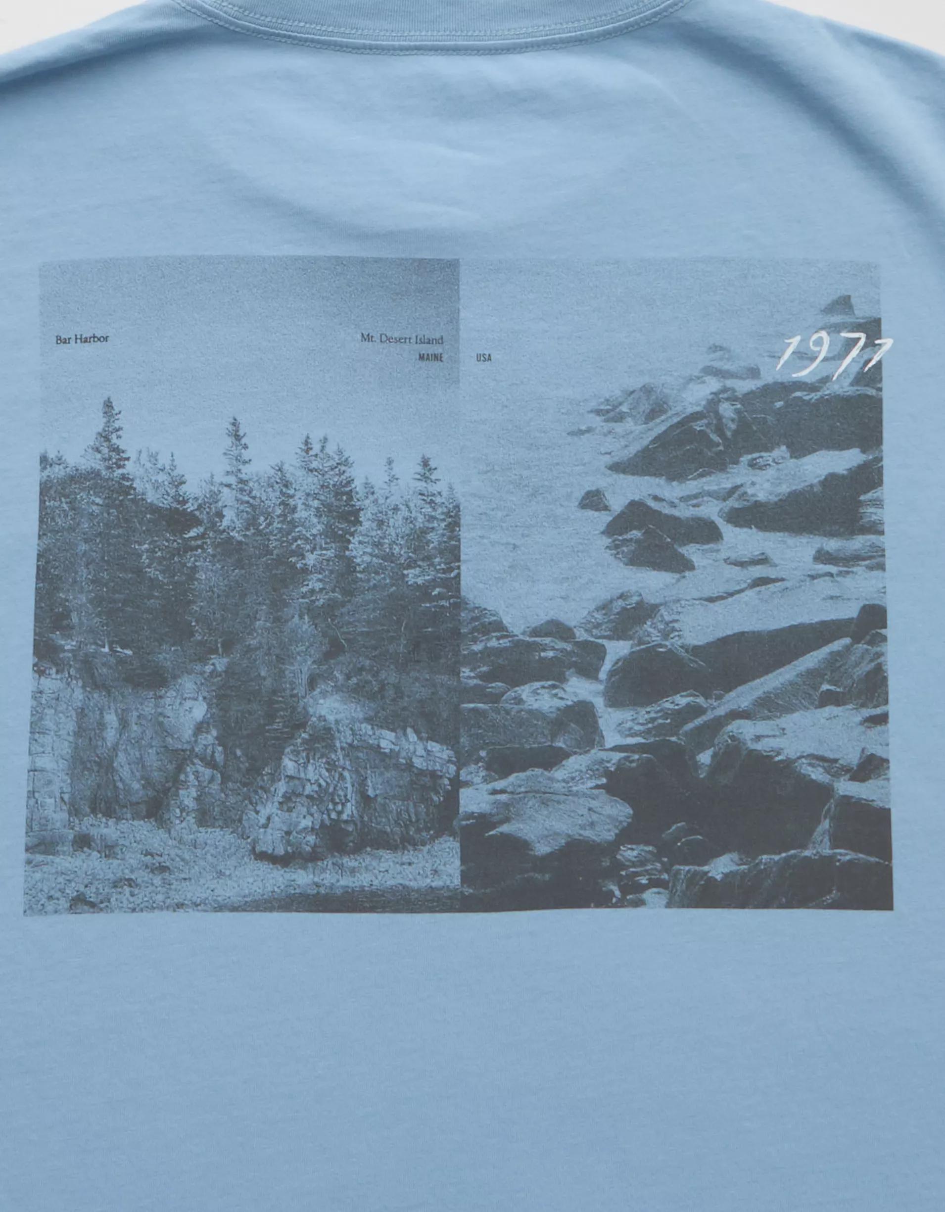 AE Logo Graphic T-Shirt Product Image