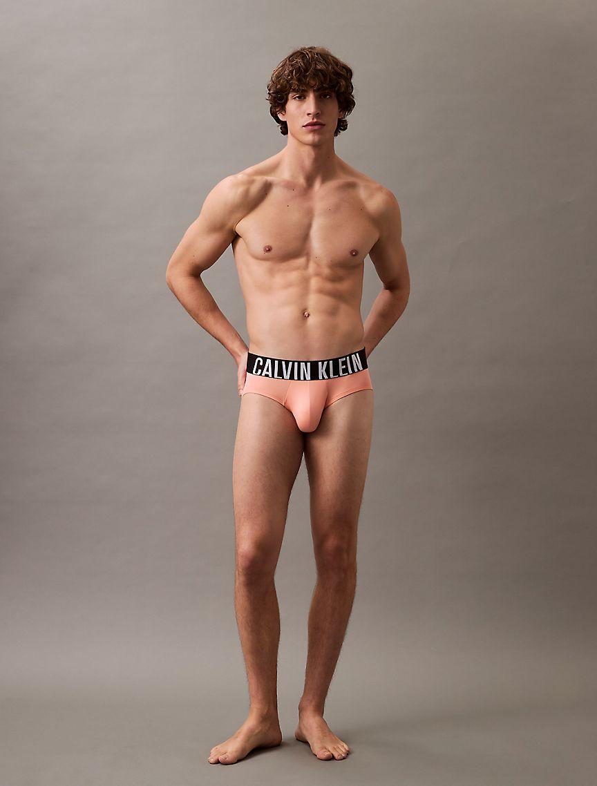 Intense Power Micro 3-Pack Hip Brief Product Image