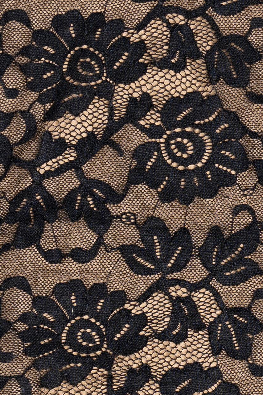 Rose Stretch Lace Maxi Dress Product Image