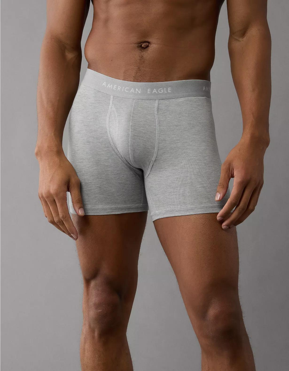 AEO Men's 4.5" Classic Boxer Brief Product Image
