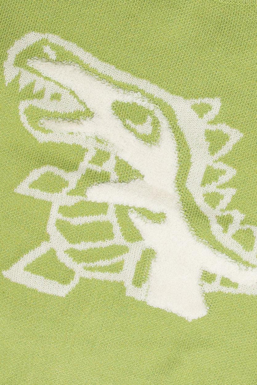 Dinosaur Sweater Product Image