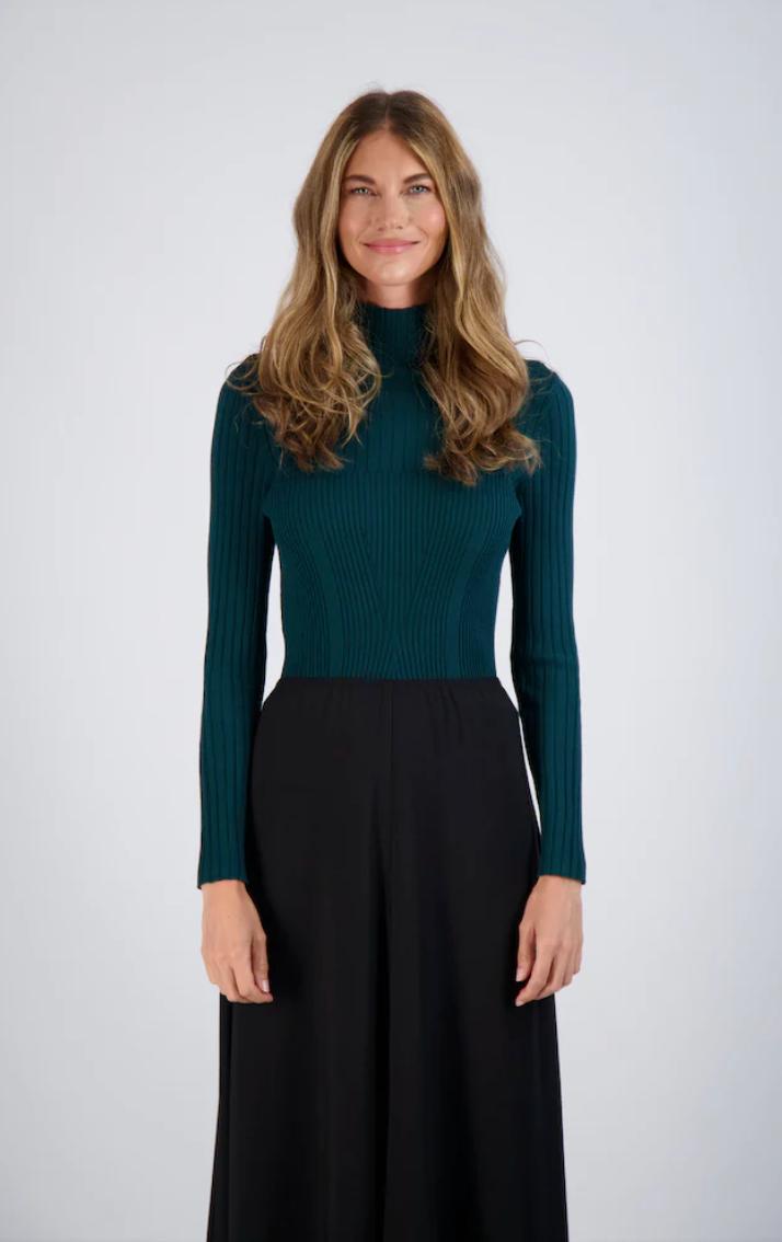 Pashmina Basic Rib Mock Neck Top Product Image