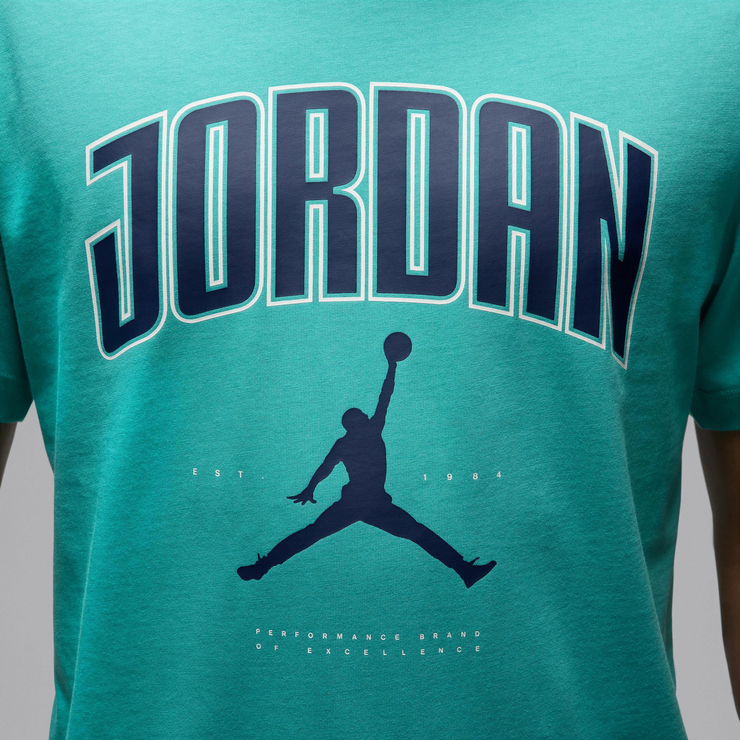 Mens Jordan T-shirt | HQ0009-392 Product Image