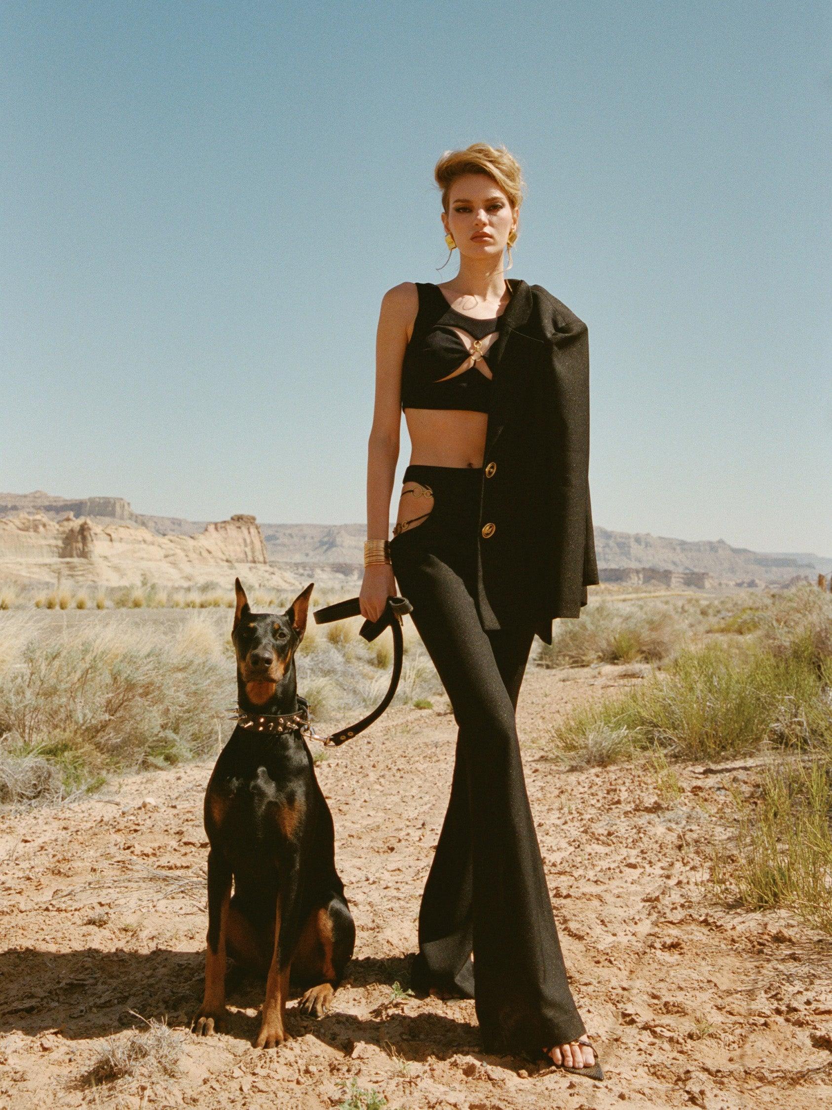 Chiara Crop Top (Final Sale) Product Image