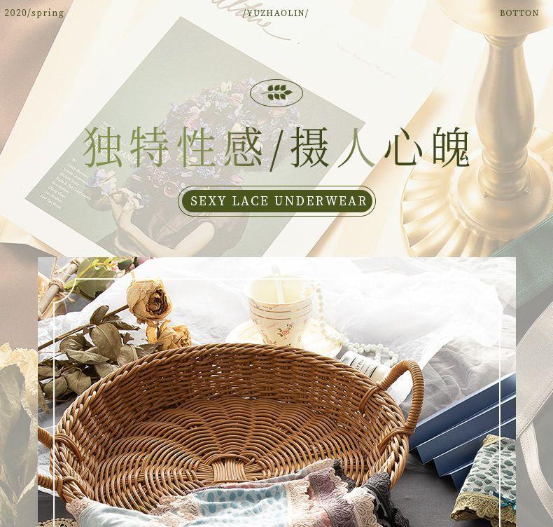 Lace Trim Leopard Print Panties Product Image