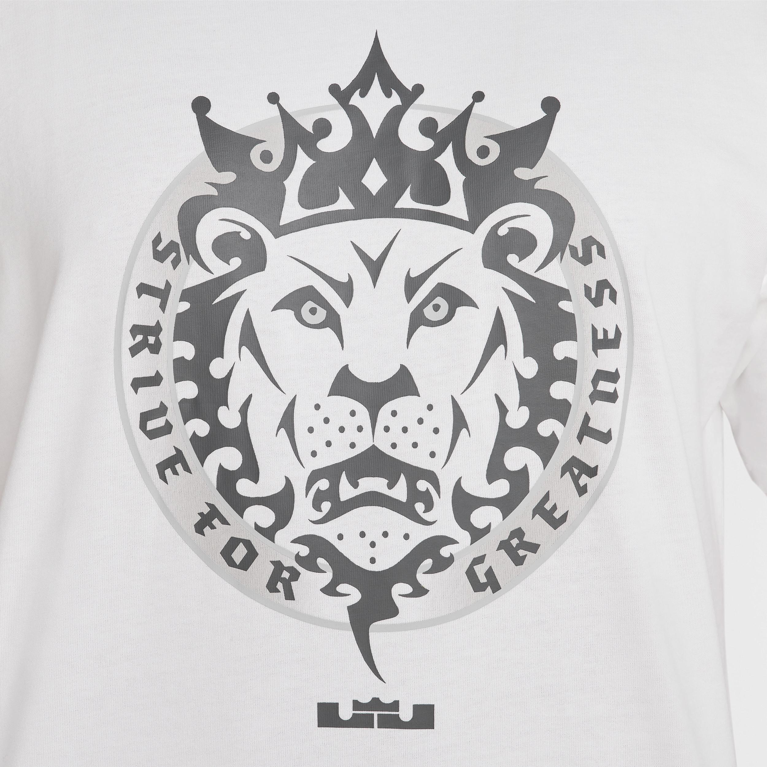 LeBron Men's Max90 Basketball T-Shirt Product Image