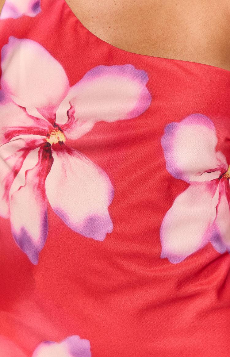 Hatley Red Crimson Paradise Mini Dress Product Image