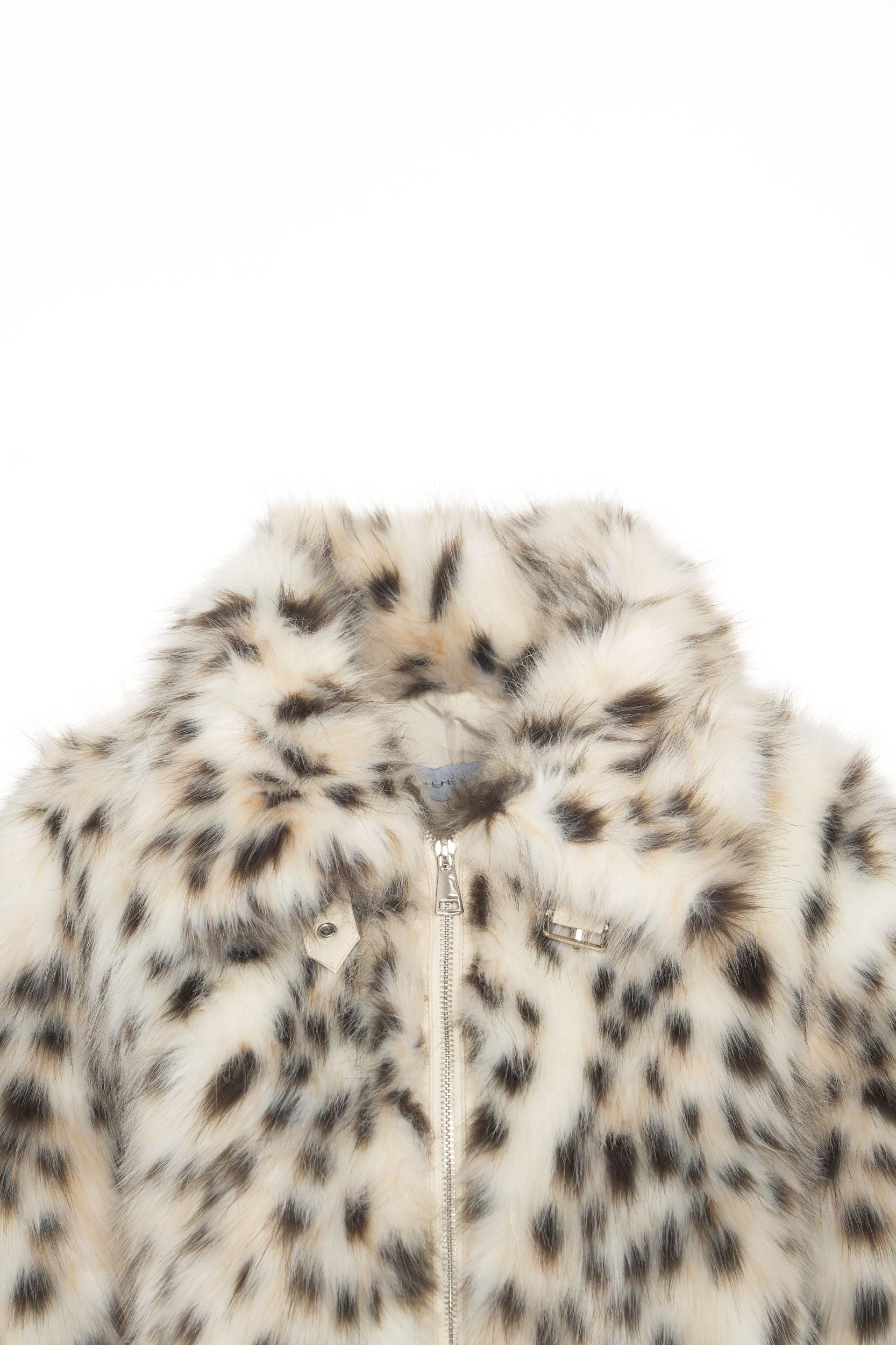 Jacket with animal print Product Image