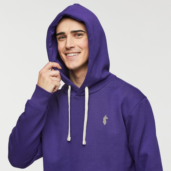 Up and Up Pullover Hoodie - Men's Product Image