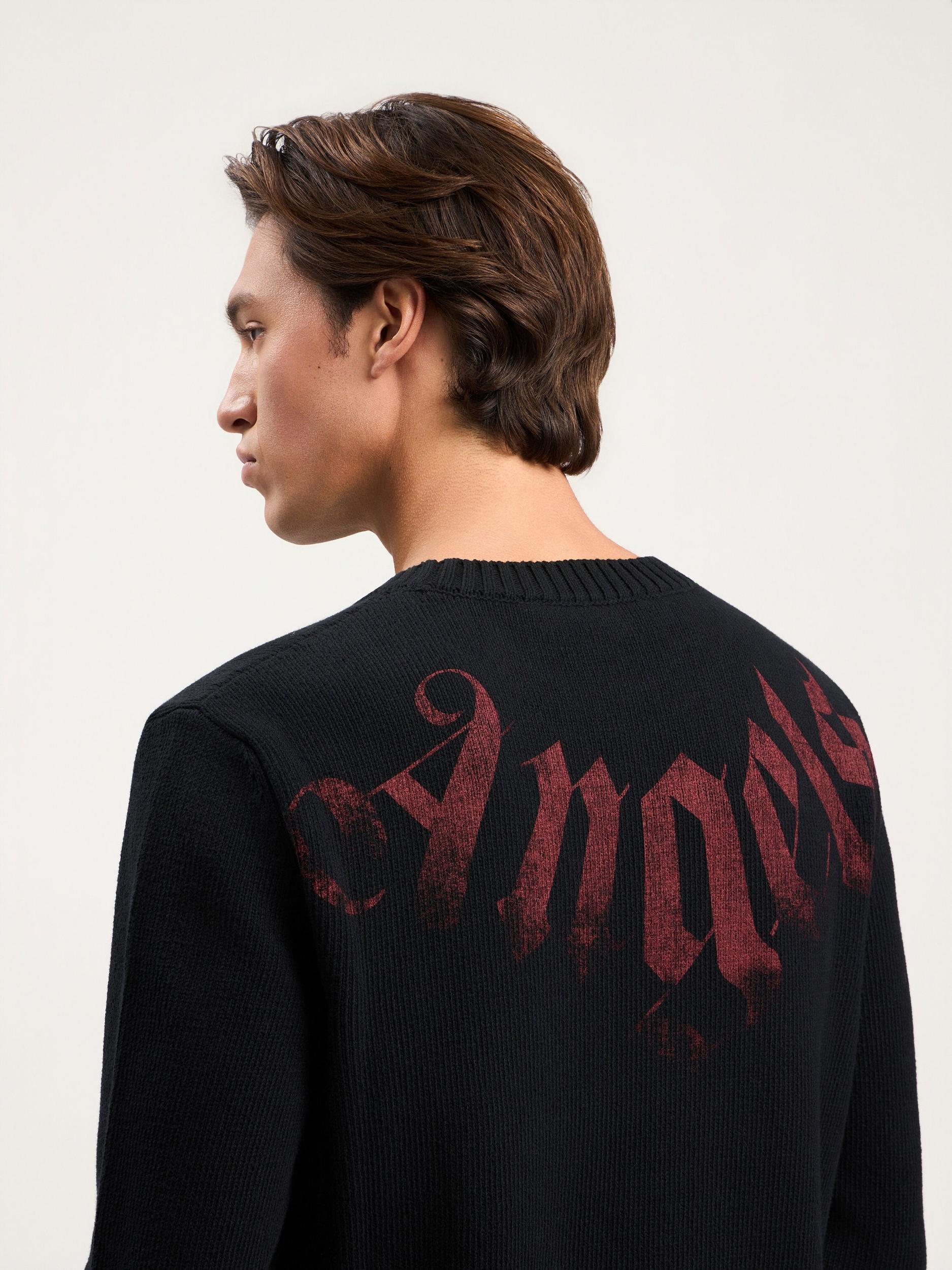 Big Neck Logo Sweater Product Image