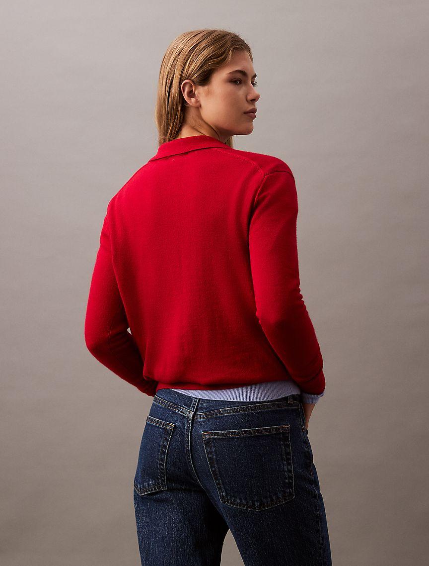 Extra Fine Merino Blend Polo Sweater Product Image