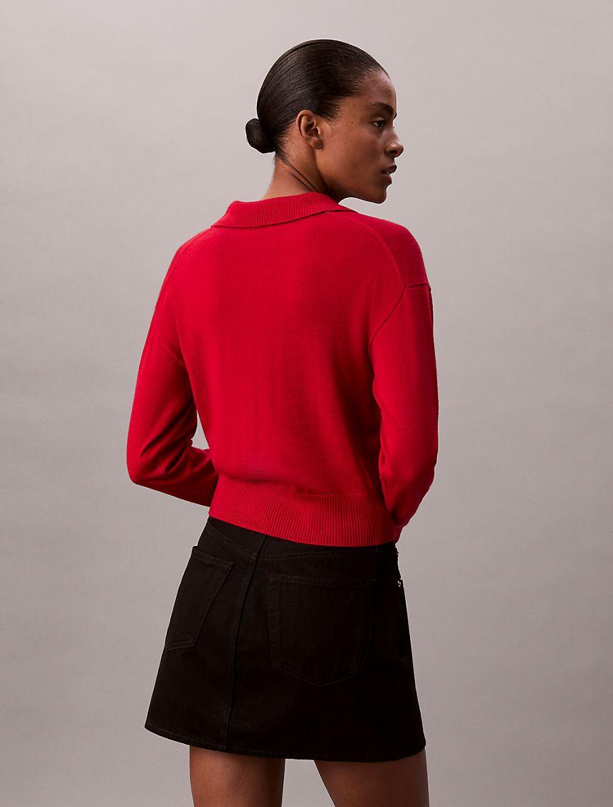 Merino Wool Blend Relaxed Polo Sweater Product Image