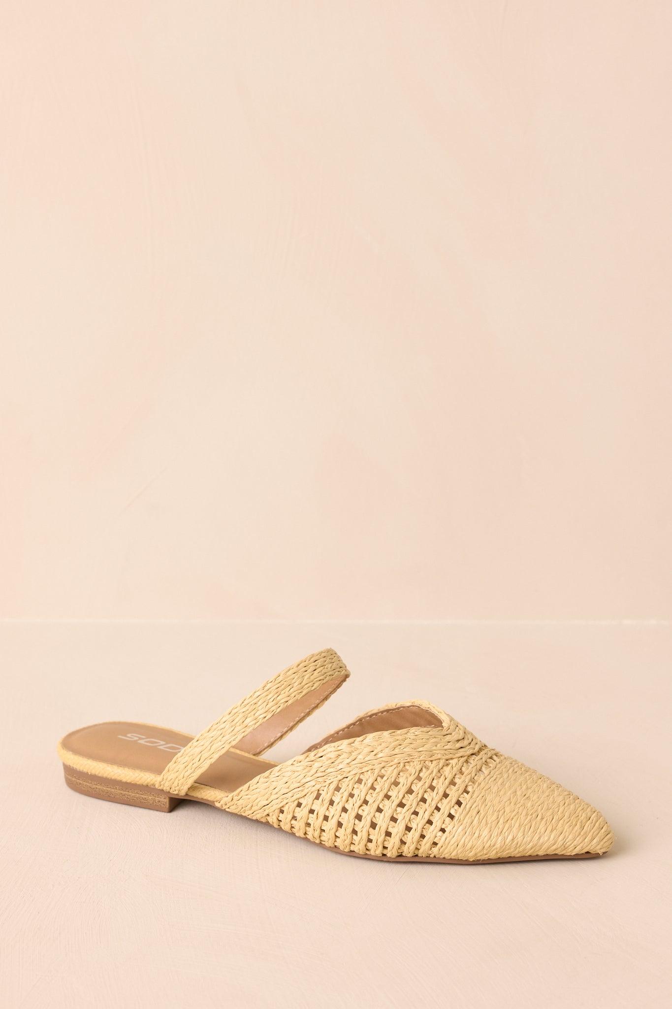 There She Goes Natural Pointed-Toe Woven Raffia Mules Product Image