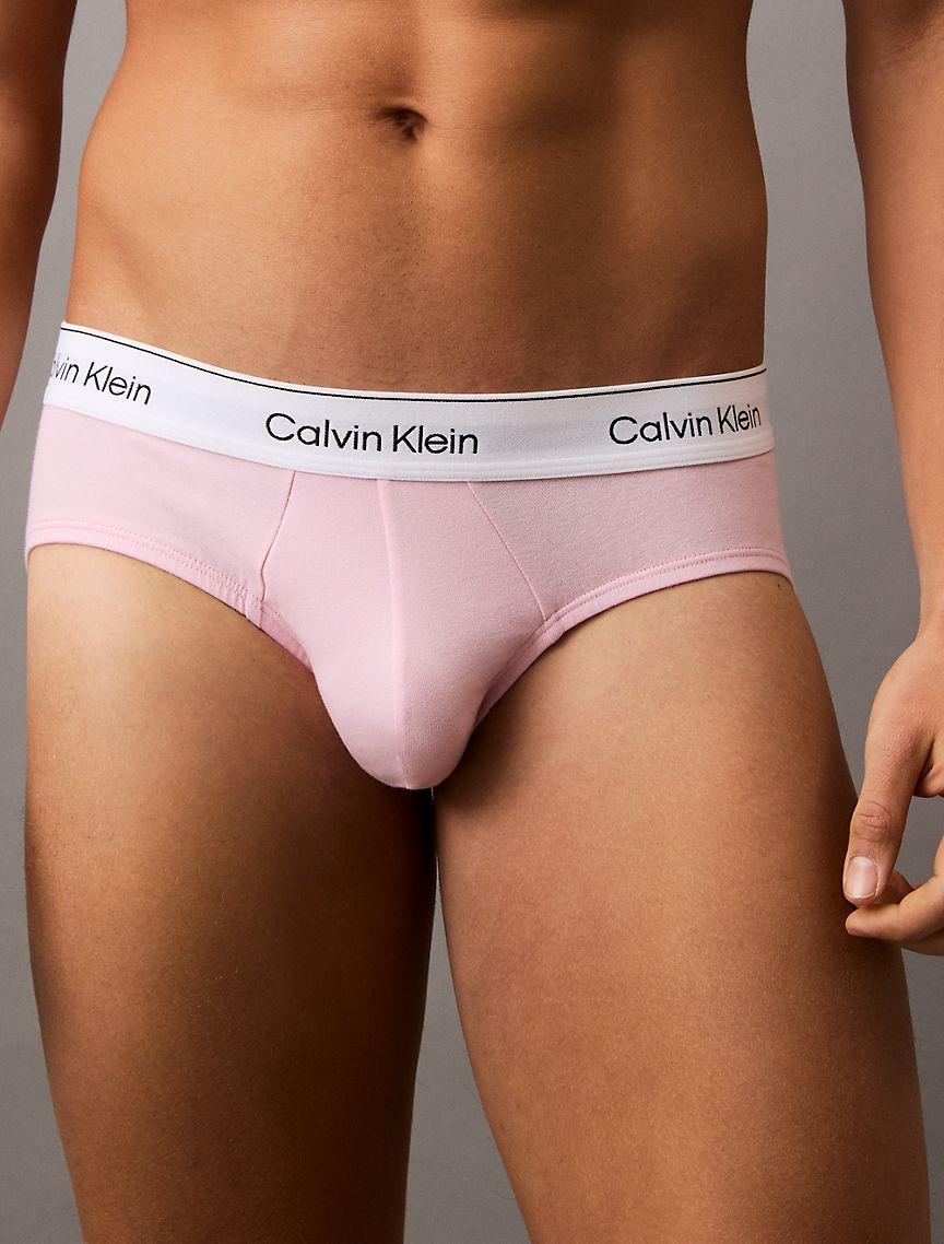 Icon Cotton Stretch 5-Pack Hip Brief Product Image