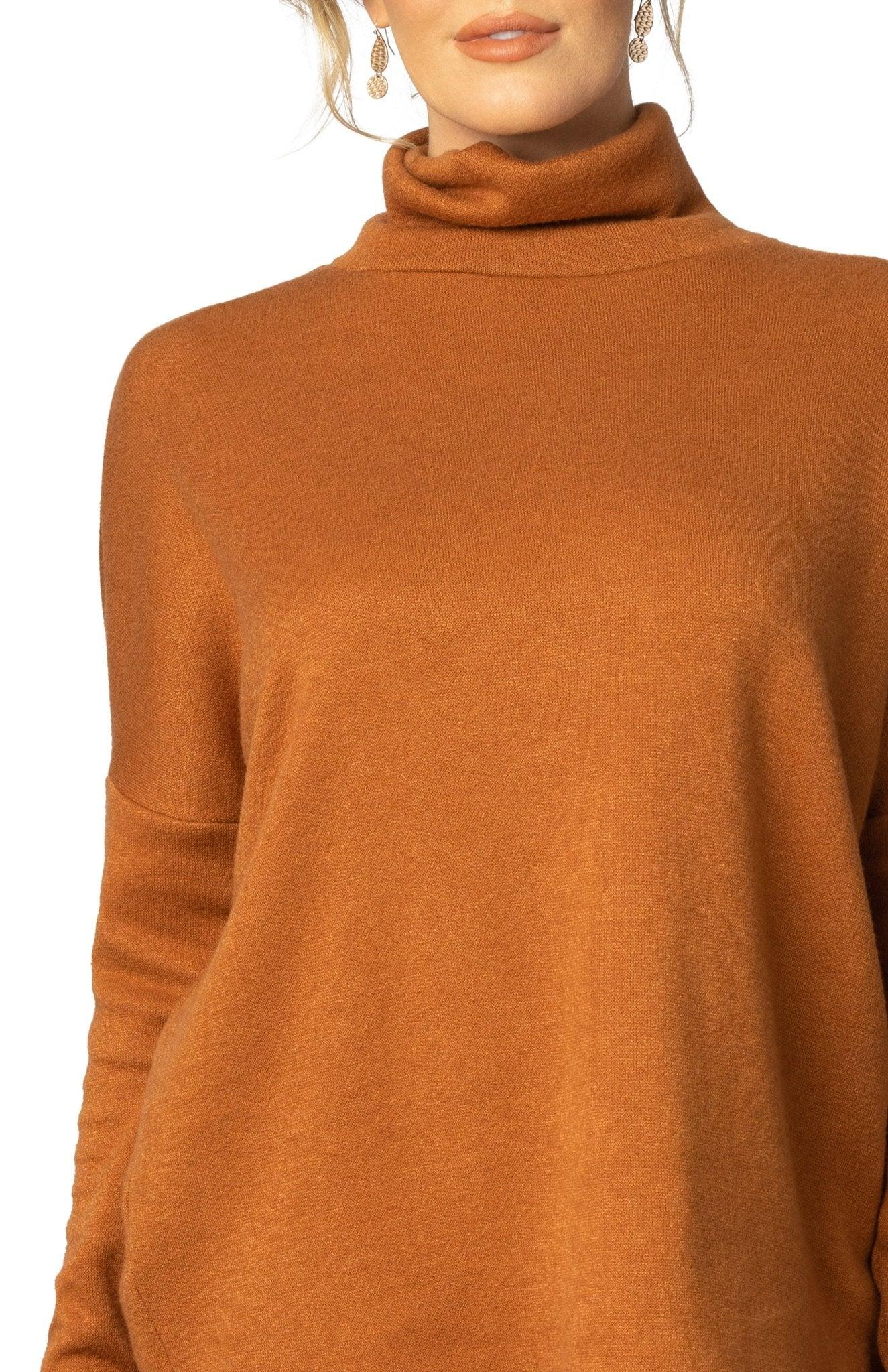 Paris Turtleneck Tunic Sweater Product Image