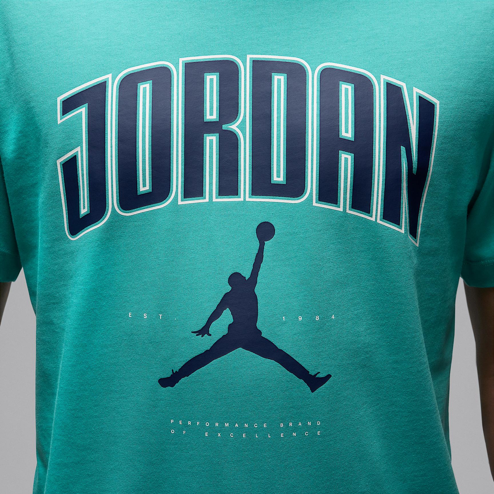 Mens Jordan T-shirt | HQ0009-392 Product Image