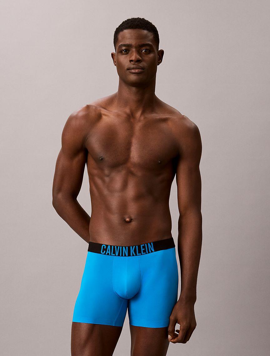 Intense Power Motion Boxer Brief Product Image