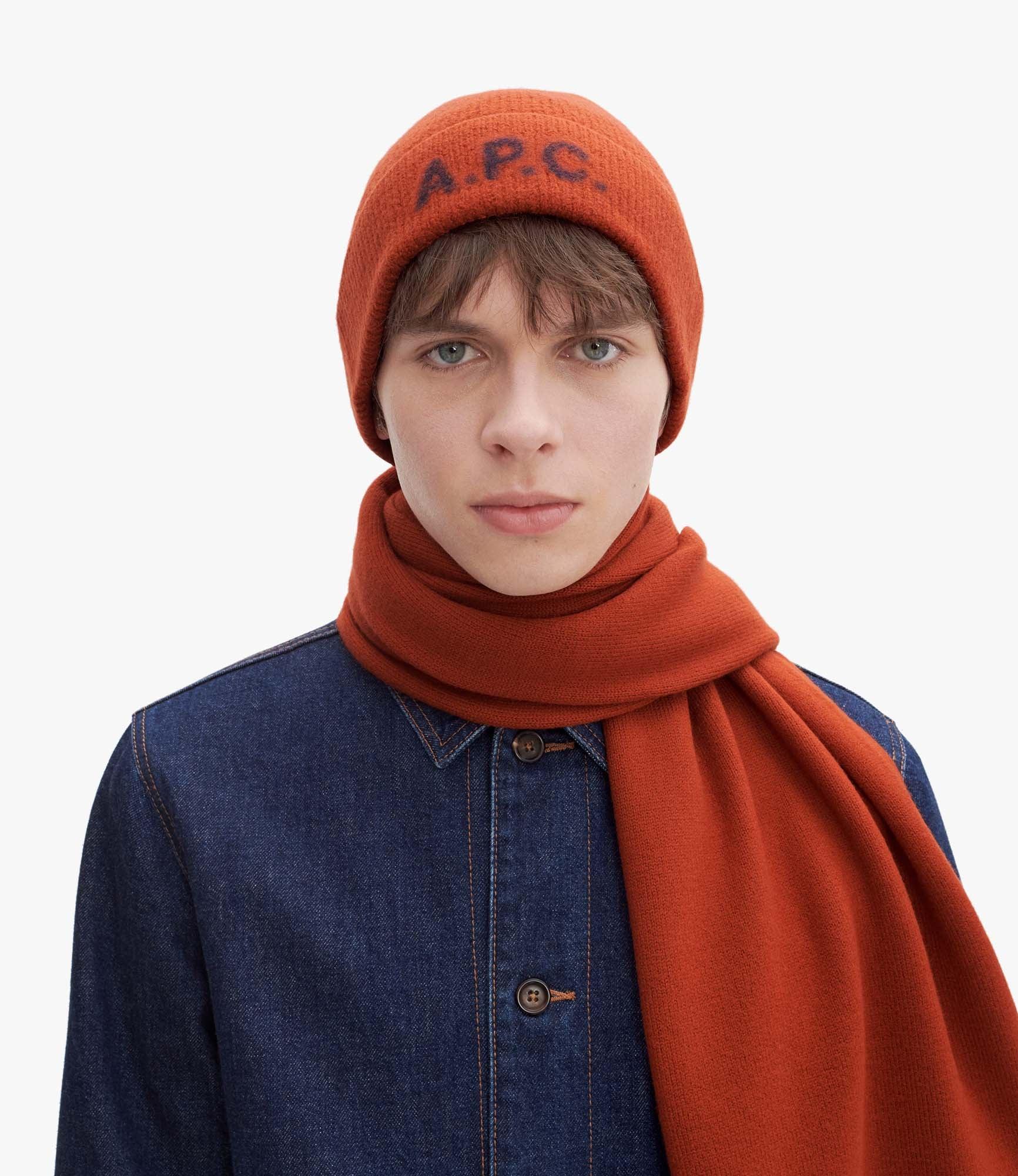 Harry beanie Male Product Image