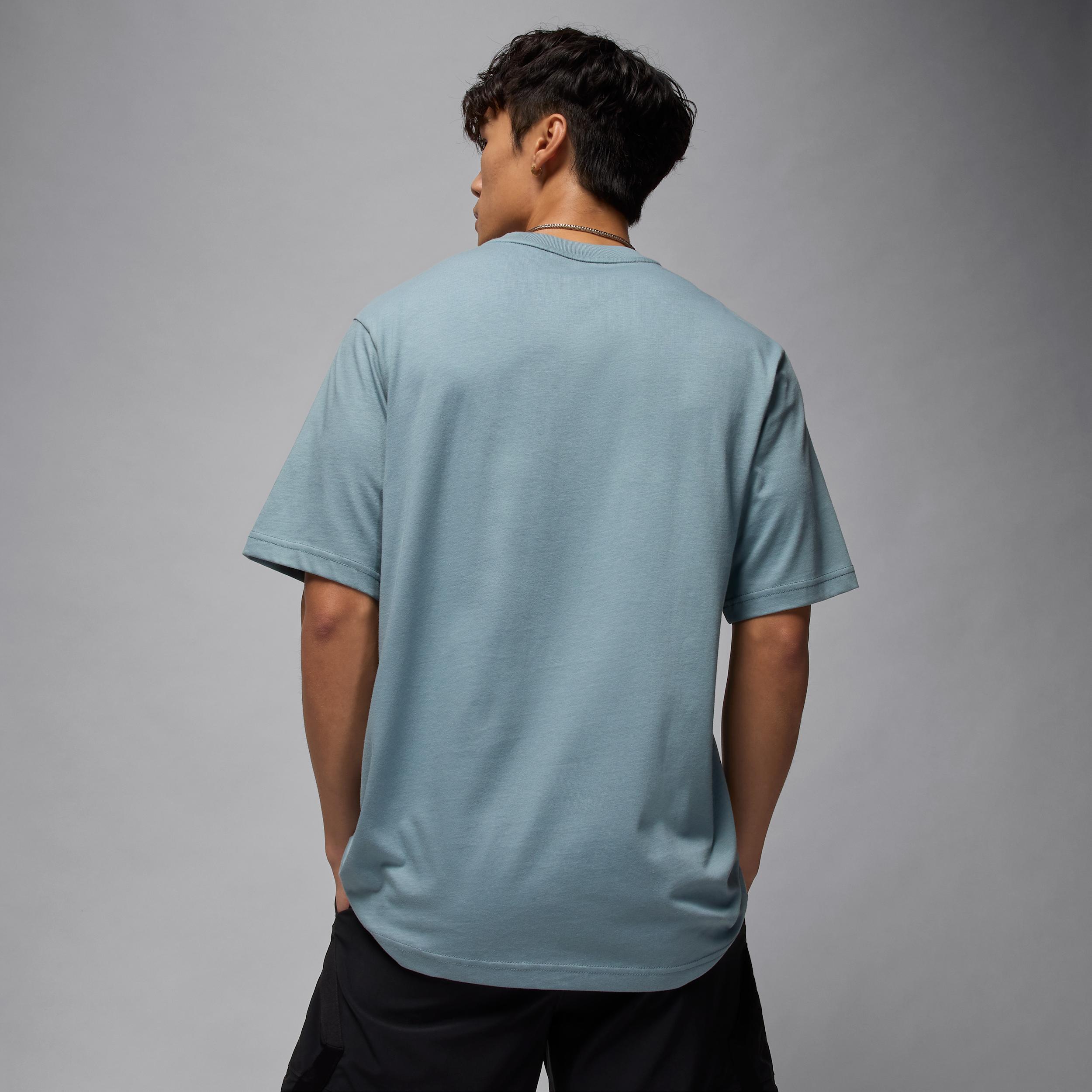 Mens Jordan Sport Dri-FIT T-Shirt | HQ9091-041 Product Image