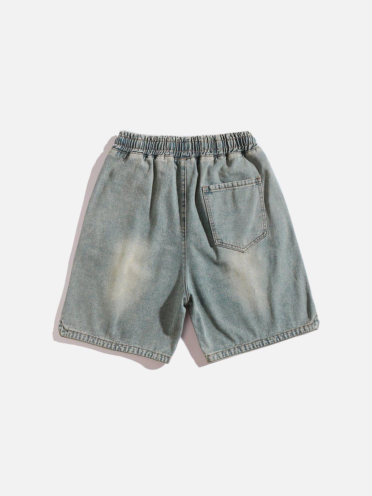 Aelfric Eden Washed Essential Jorts Product Image