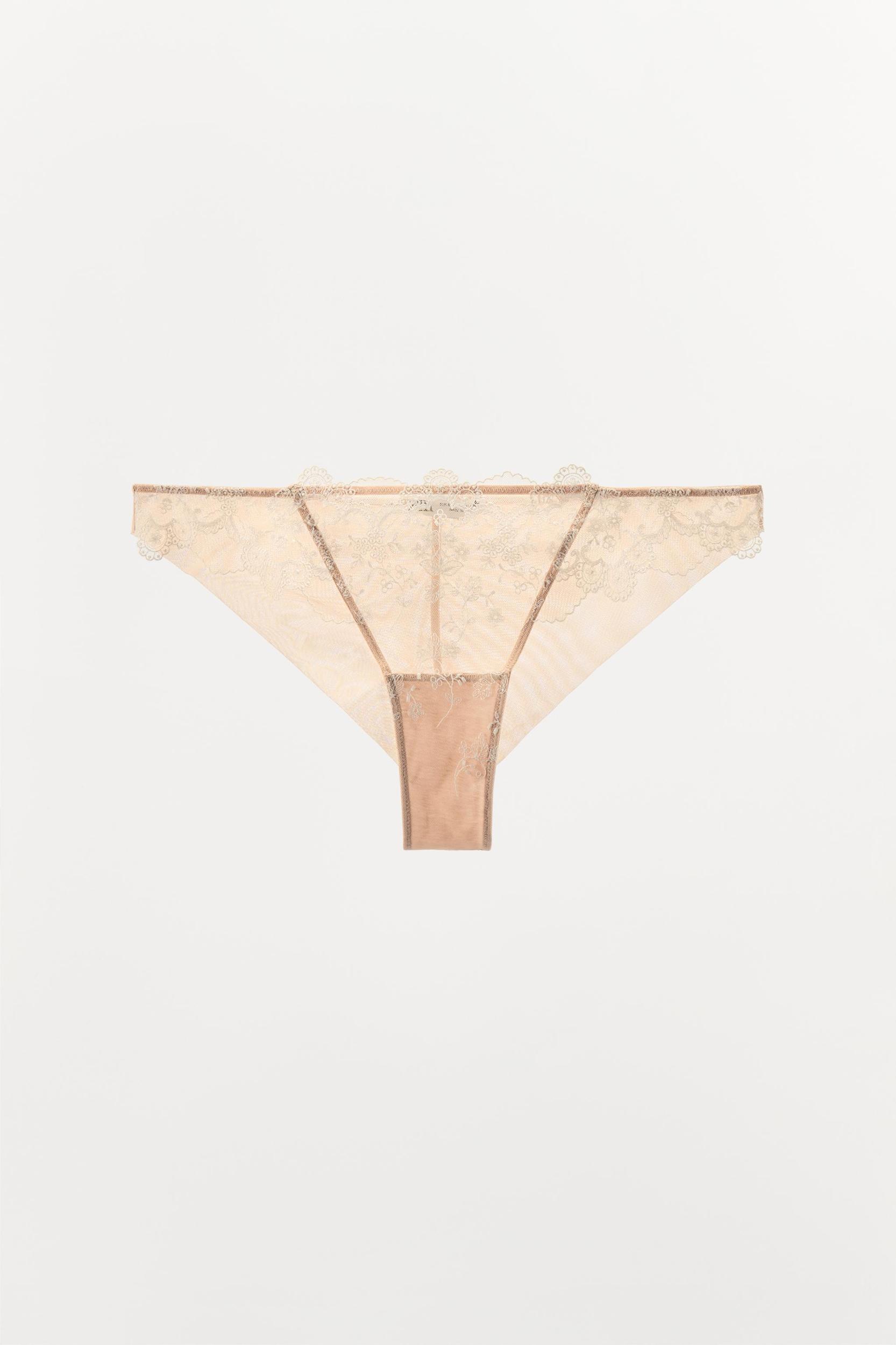 EMBROIDERED MESH PANTIES Product Image