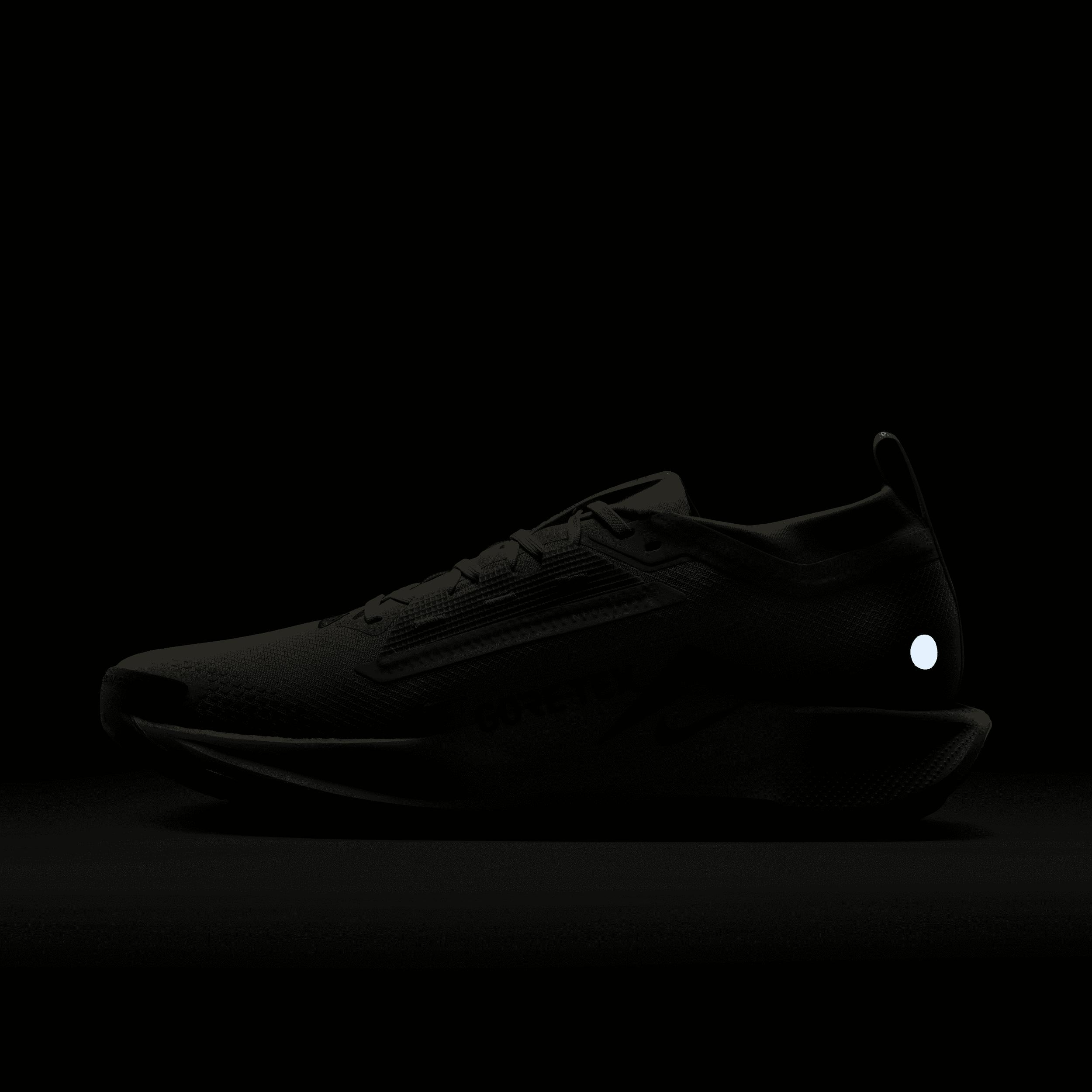 Nike Men's Pegasus Trail 5 GORE-TEX Waterproof Trail Running Shoes Product Image