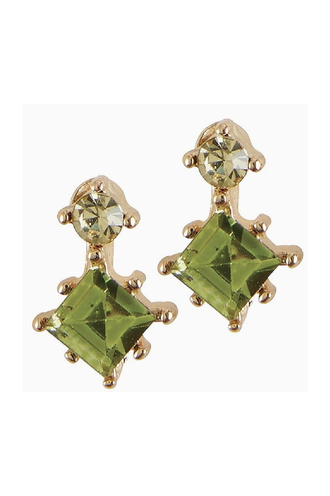 Treasure Box Earrings Product Image
