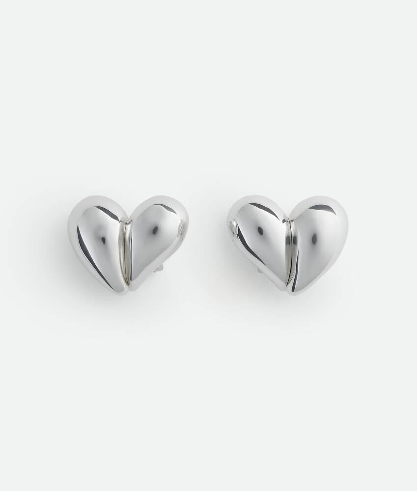 Women's Drop Clip Earrings in Silver Product Image