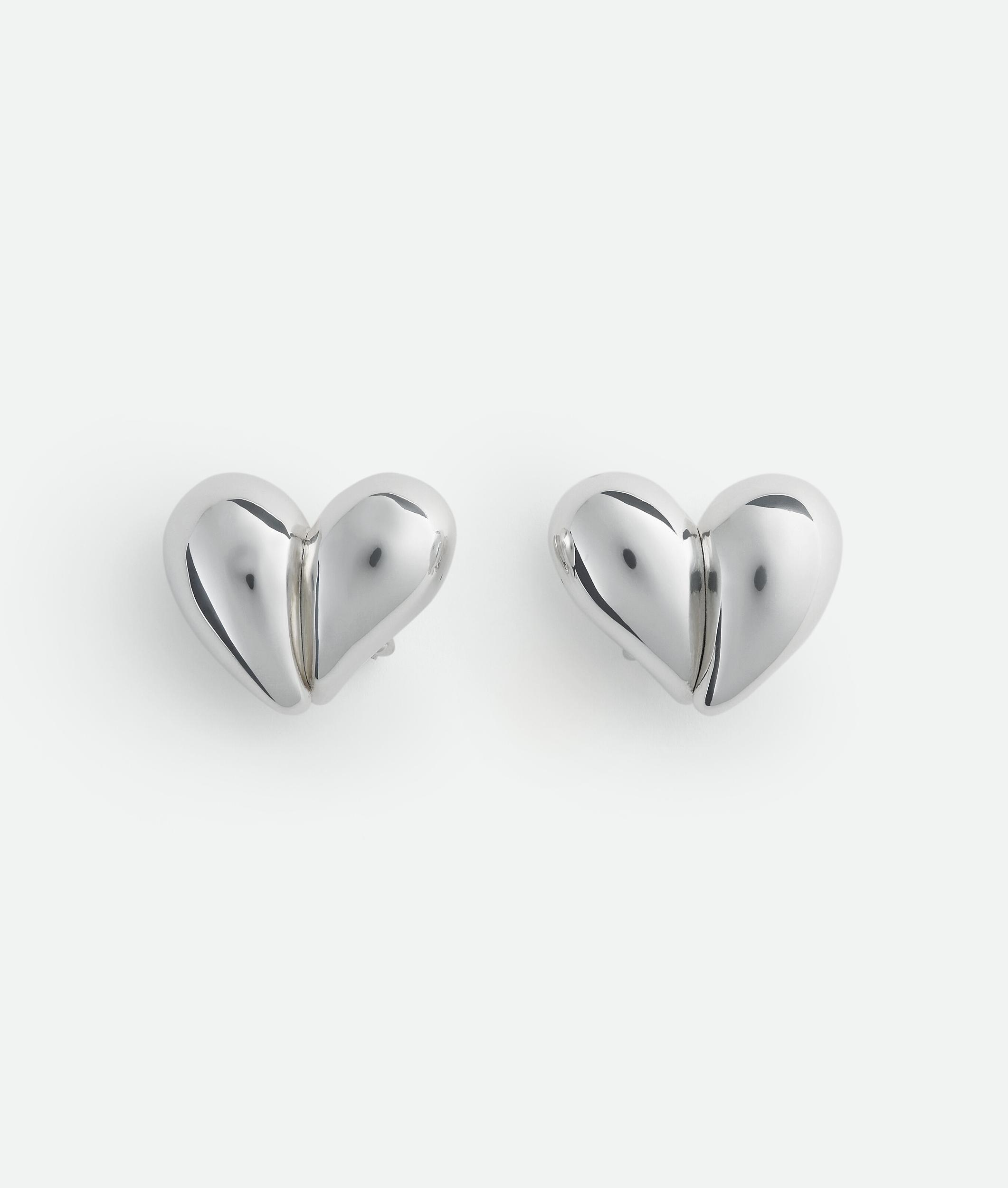 Women's Drop Clip Earrings in Silver Product Image
