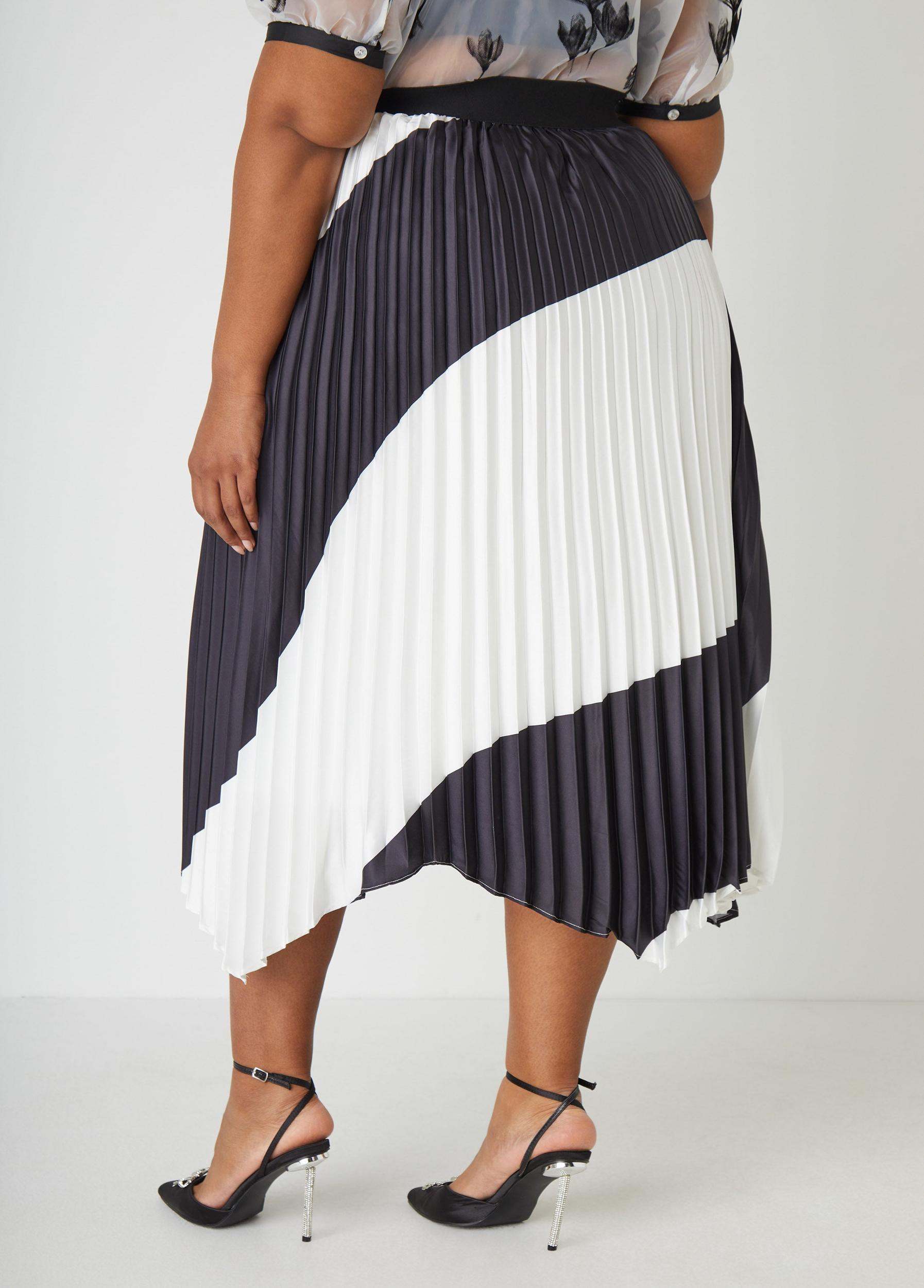 Two Tone Pleated Maxi Skirt Product Image