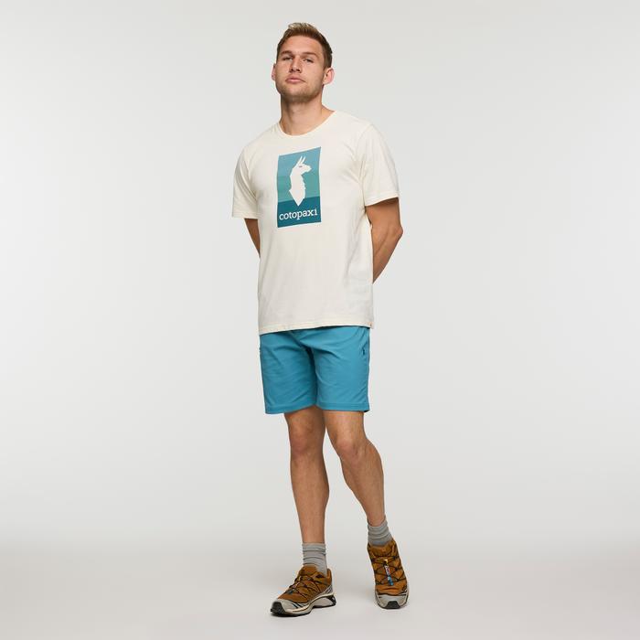 Llama Block T-Shirt - Men's Product Image