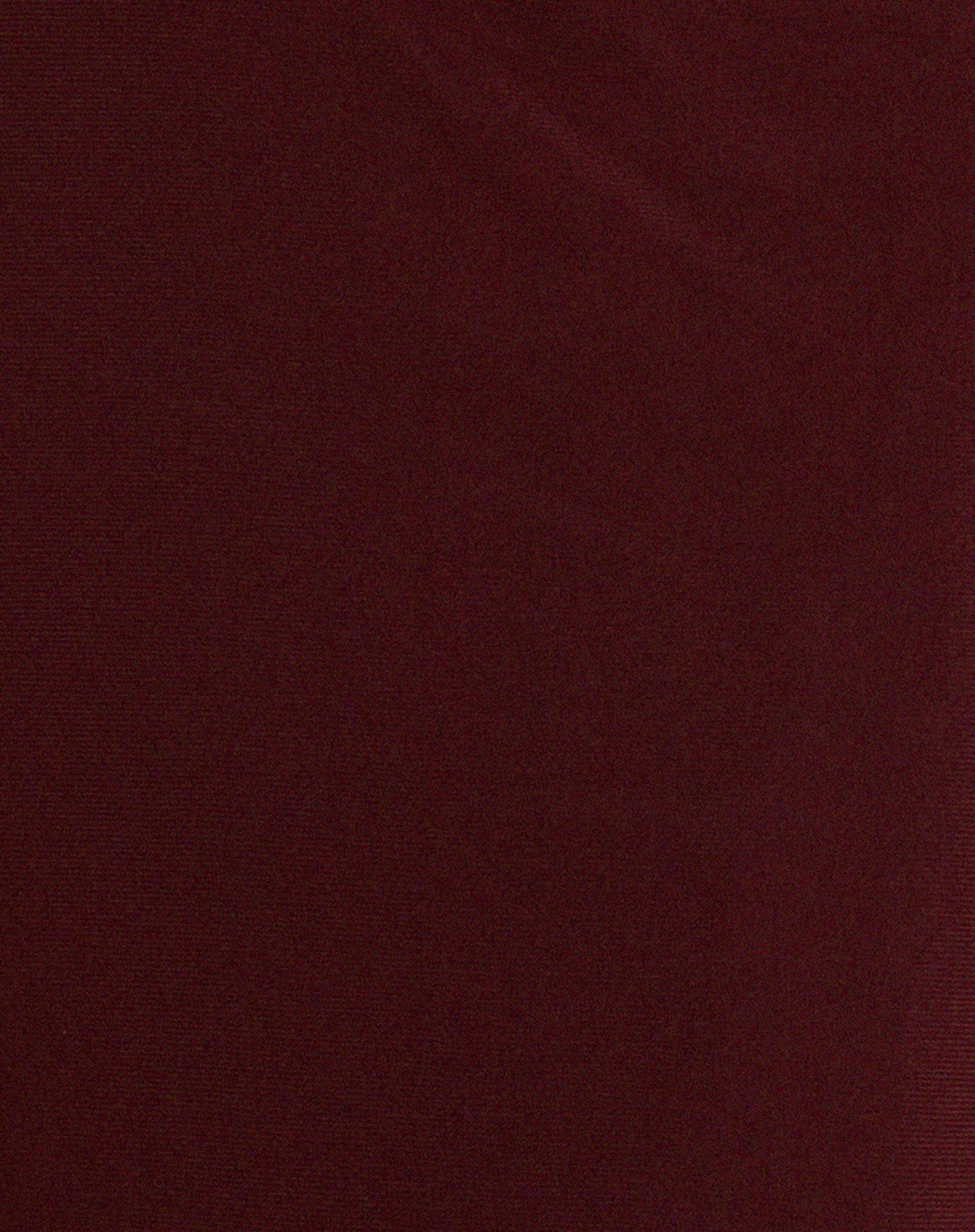 Tresha Maxi Skirt in Mesh Burgundy Product Image